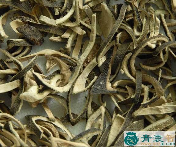 中药材青桐皮图片