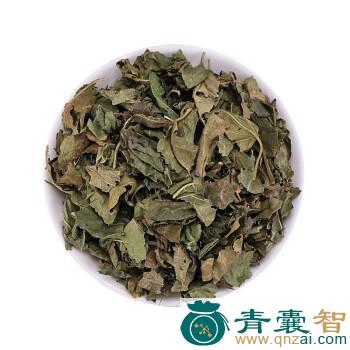 中药材青桑图片