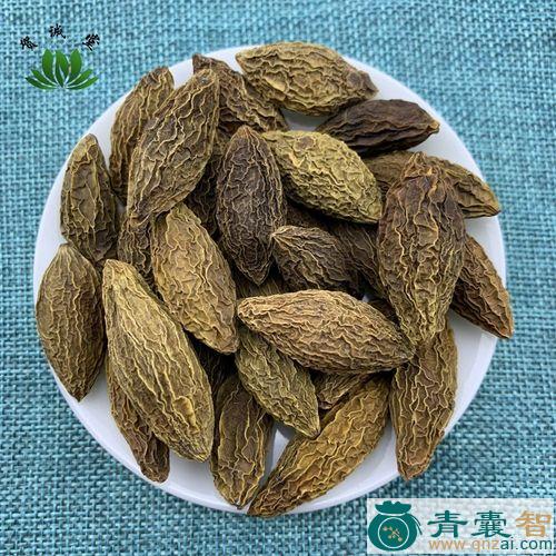 中药材青棘子图片