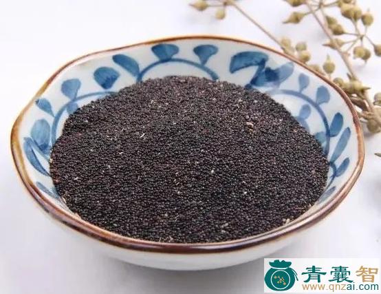 中药材青檫图片