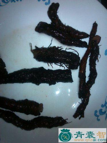 中药材青色丹图片
