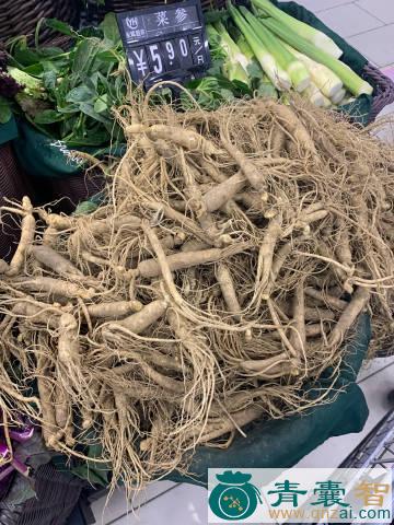 中药材青菜参图片