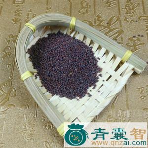 中药材青菜子图片