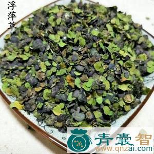 中药材青萍图片