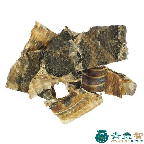 青蛇勒公的性味归经以及功效用法-青囊智
