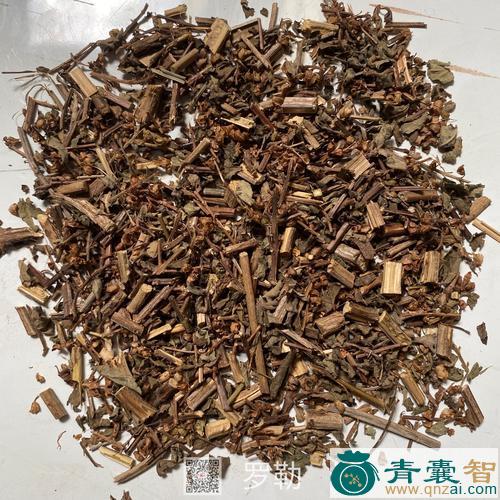 中药材青香罗勒图片