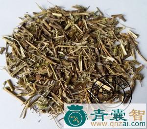 青香苋的性状性味归经以及功效用法和注意事项-青囊智