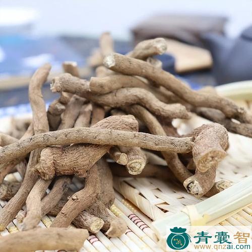 中药材青香藤图片