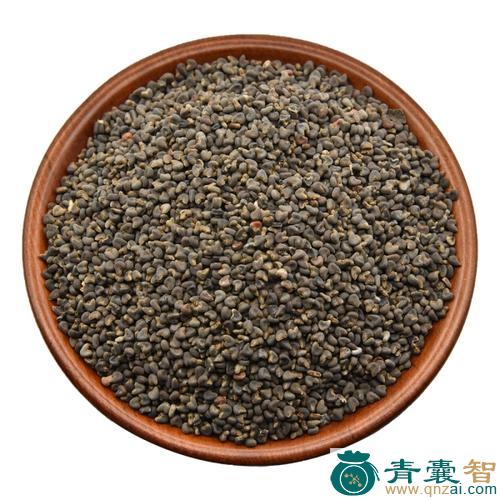 青麻子的性状性味归经以及功效用法-青囊智