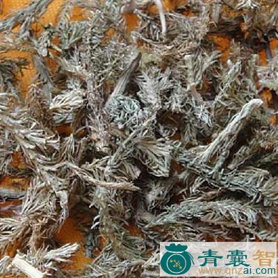 中药材青龙筋图片