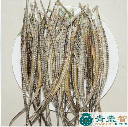 中药材鞭鱼图片