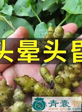 中药材顺晕图片