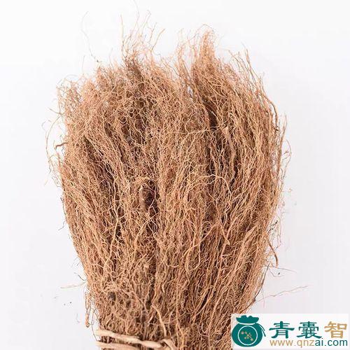中药材须须药图片