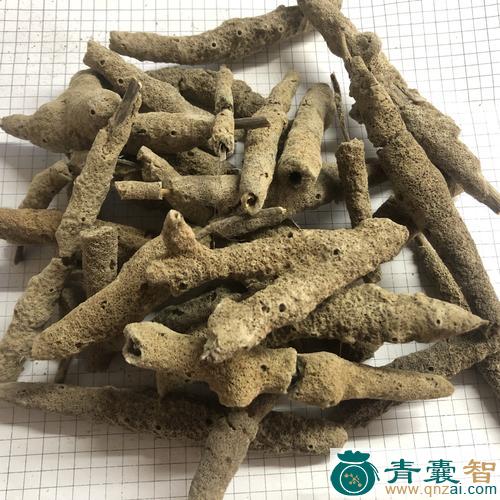 中药材额头花子图片