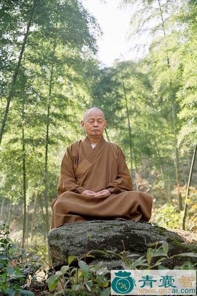 中药材颠和尚图片