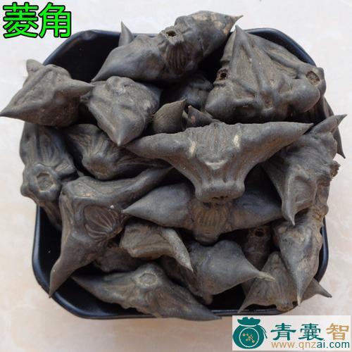 中药材风菱图片