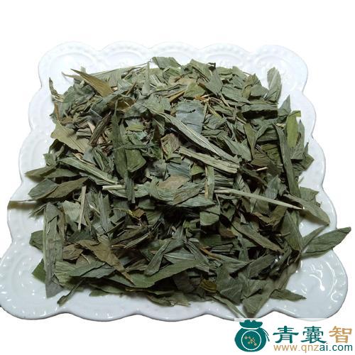 中药材飞竹叶图片