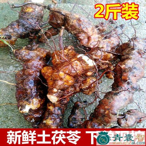 中药材饭铲头图片