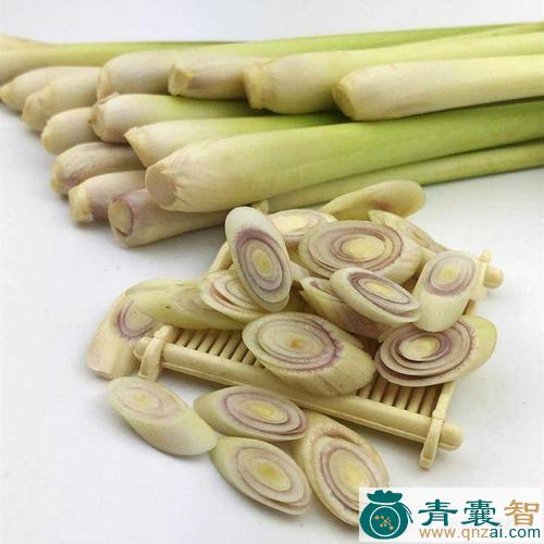 中药材香巴茅图片
