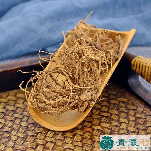 中药材香根芹图片
