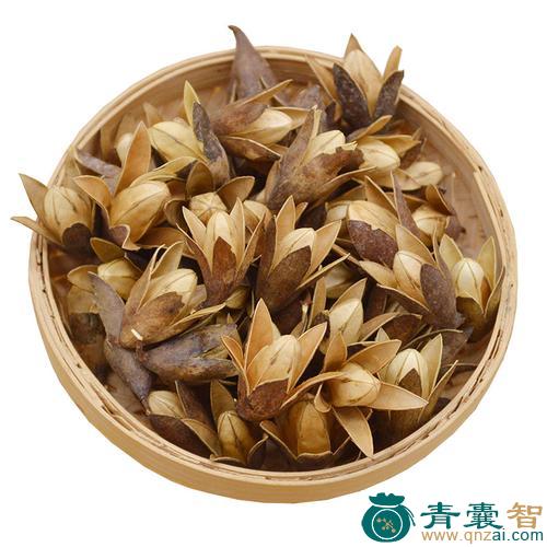 中药材香椿铃图片