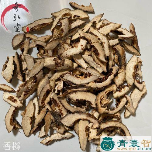 中药材香橼根图片