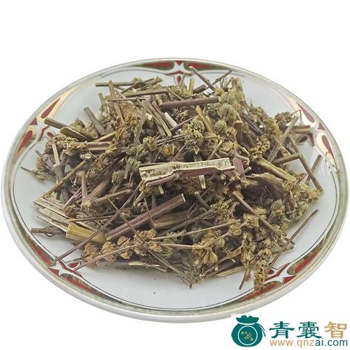 中药材香田芥图片