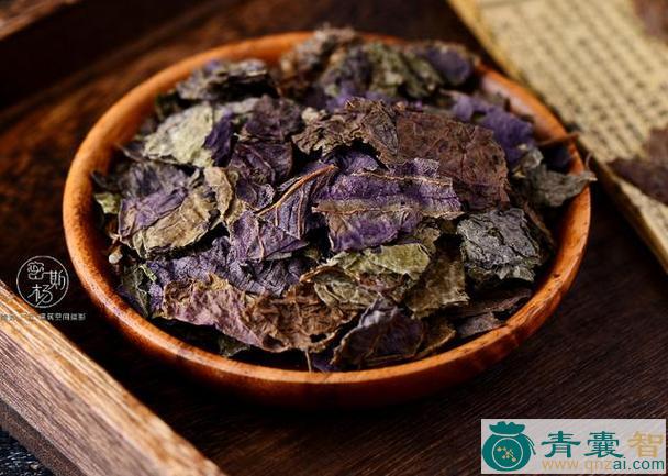 香紫苏的性状性味归经以及功效用法-青囊智