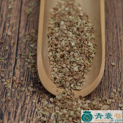 中药材香蛇麻图片