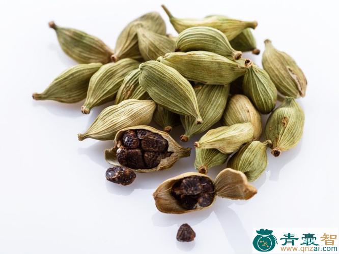 中药材香豆蔻图片