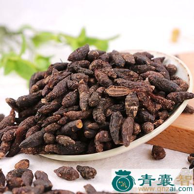 中药材香附图片