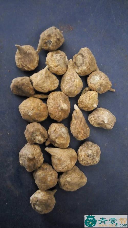 中药材马哥罗图片