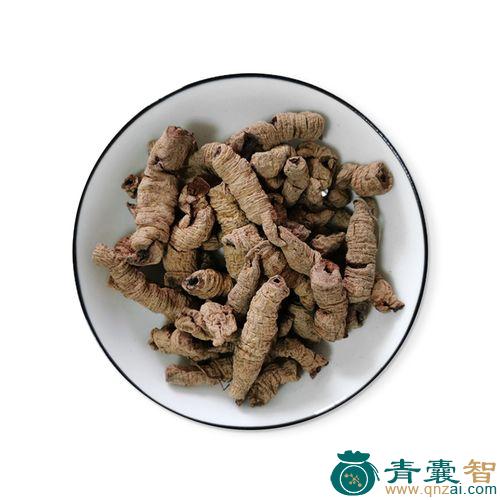 马来巴的性味归经以及功效用法-青囊智