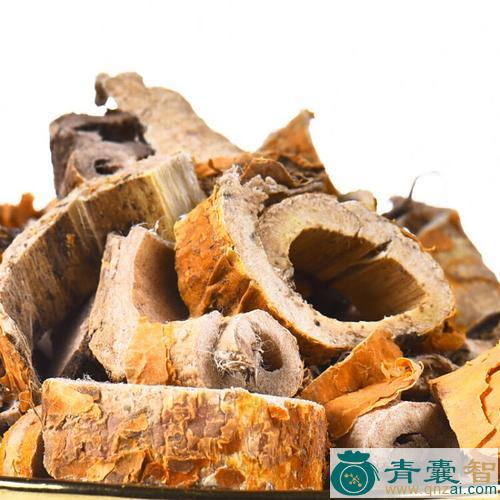 中药材马桑树皮图片