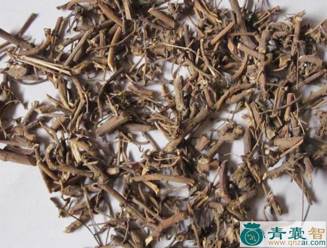中药材马楠图片