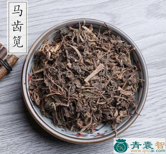 中药材马牙栀图片