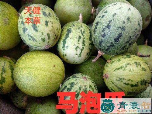 中药材马瓜包儿图片
