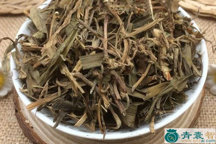 中药材马耳朵图片