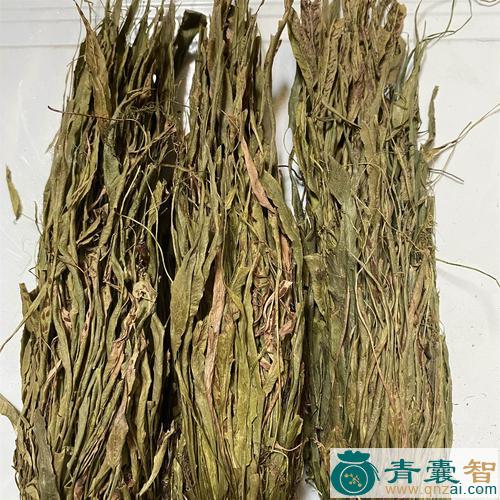 中药材马脚藤图片