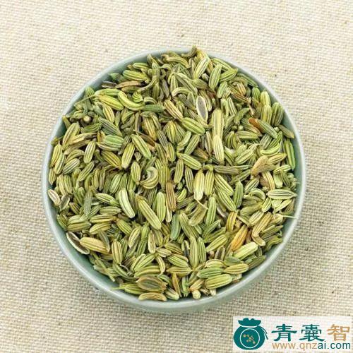 中药材马茴香图片