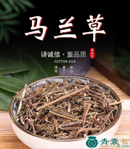 马萍的性状性味归经以及功效用法-青囊智