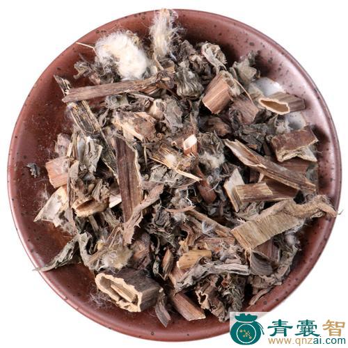 中药材马蓟图片