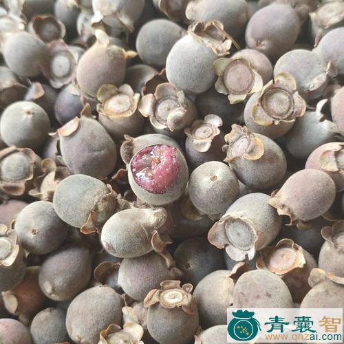 马蛋果的性味归经以及功效用法和注意事项-青囊智