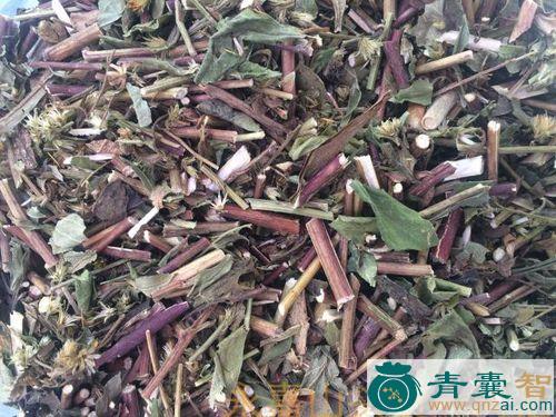 中药材马金南图片