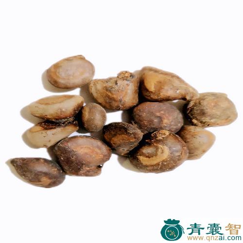 中药材马金囊图片