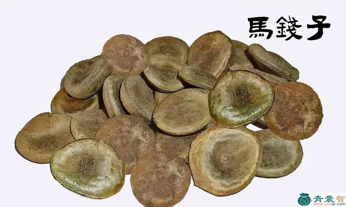 中药材马钱子图片