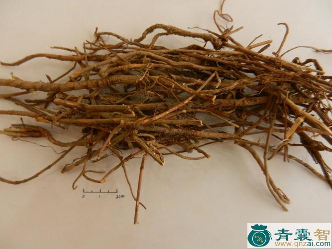 中药材马集柴图片