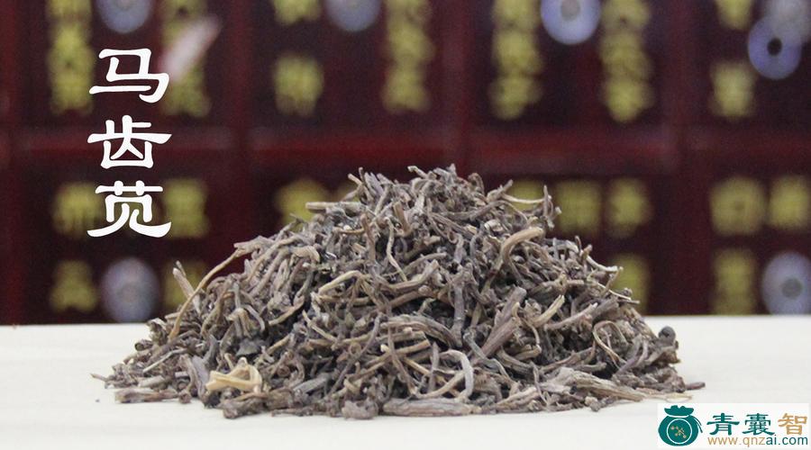 中药材马须草图片