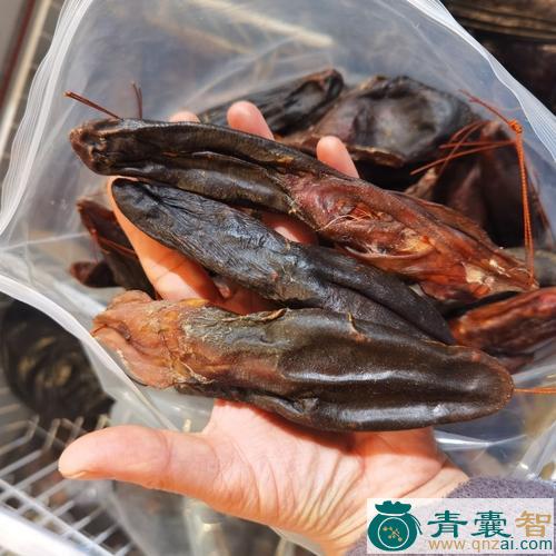 中药材马鹿尾图片
