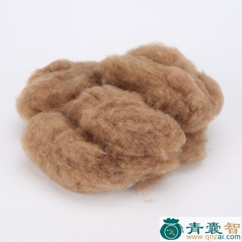 中药材骆驼毛图片